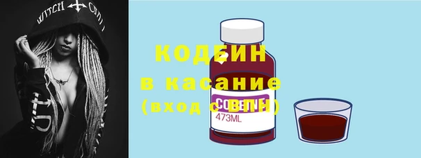 ПСИЛОЦИБИНОВЫЕ ГРИБЫ Алексин