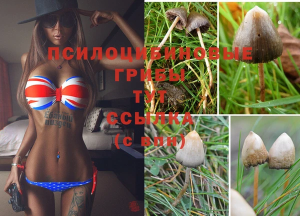 MDMA Алзамай
